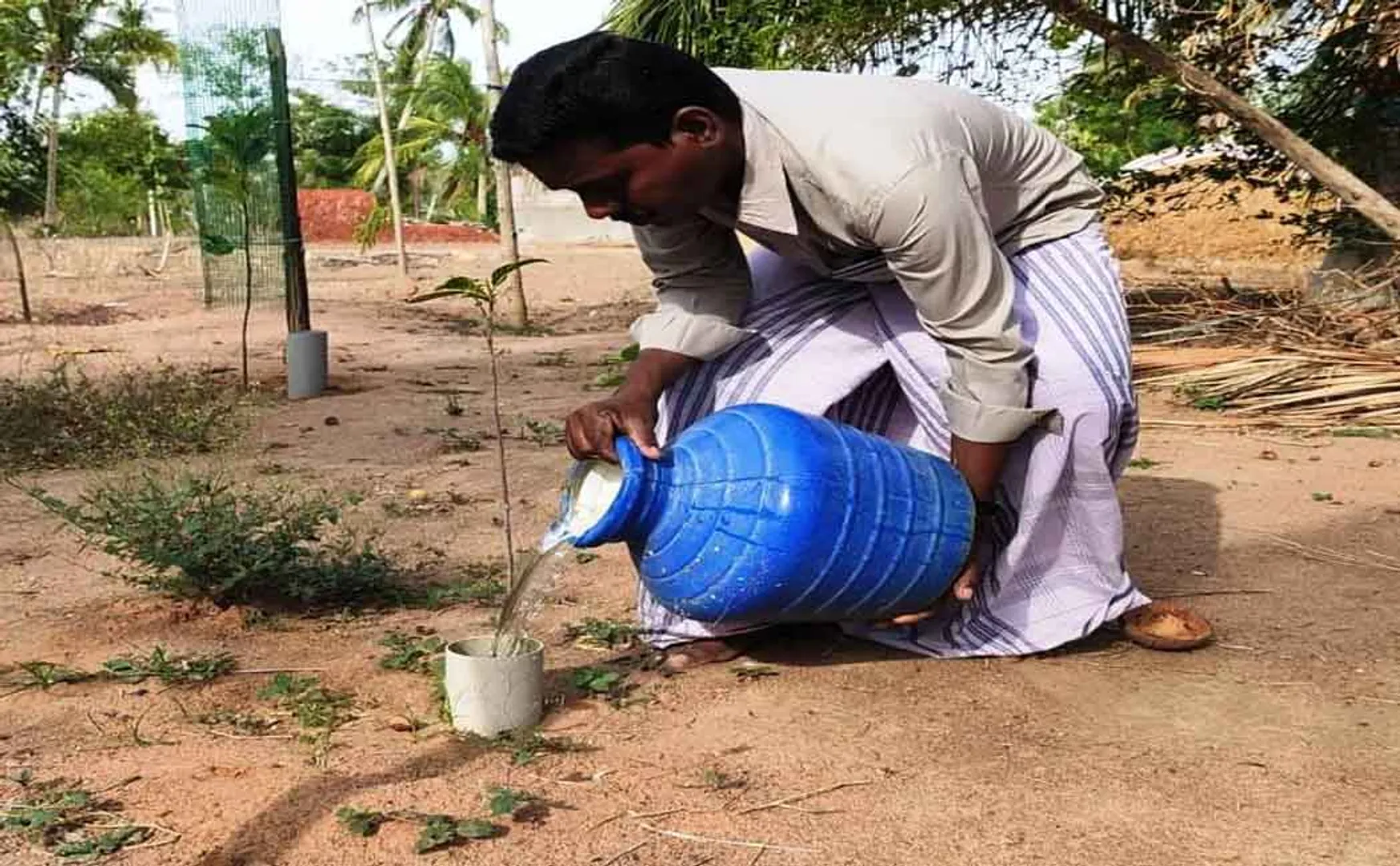  A farmer who pipes water to the roots of a tree.  Water is a necessity, a demand